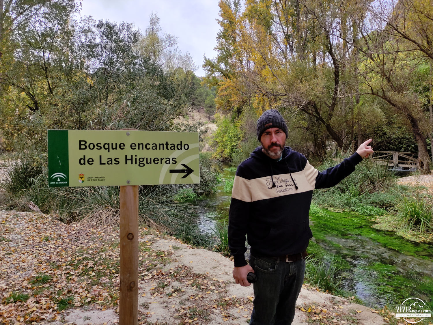 Al Bosque Encantado de las Higueras en Pozo Alcón (Sierra de Cazorla, Jaén)