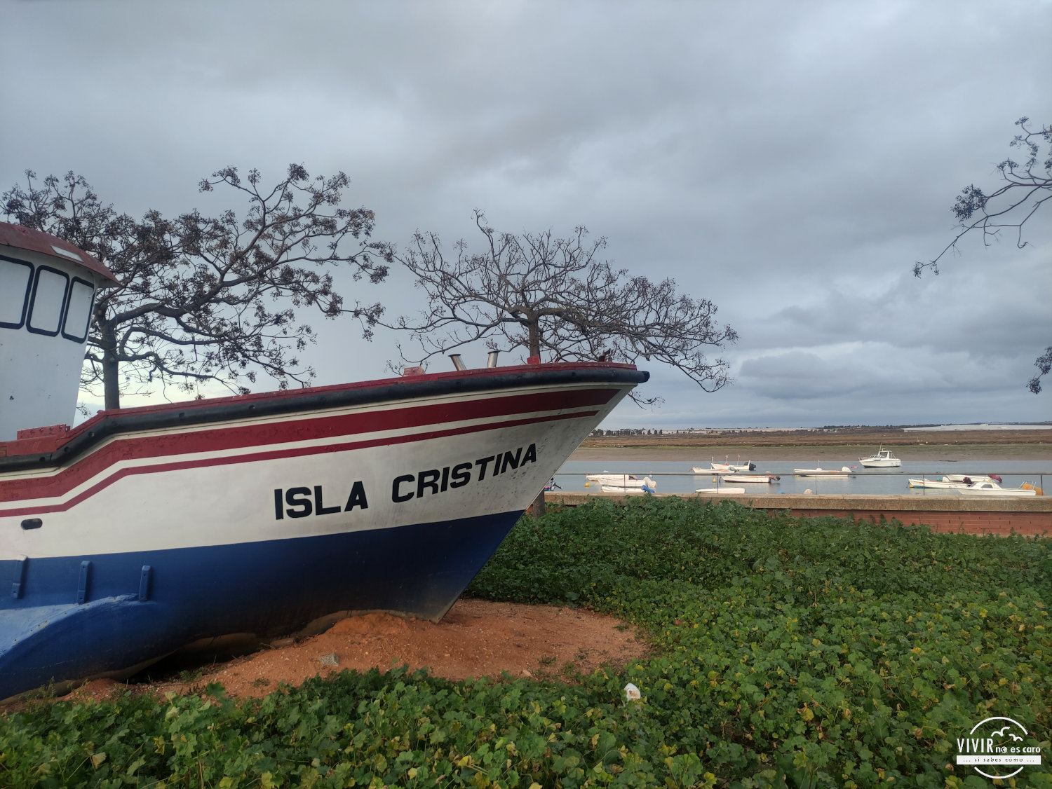 Marismas Isla Cristina (Huelva)
