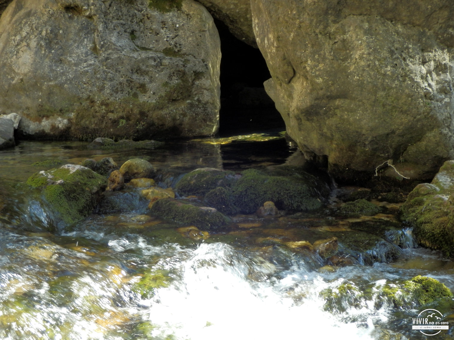 Nacimiento del rio Borosa en Cazorla (Jaén)