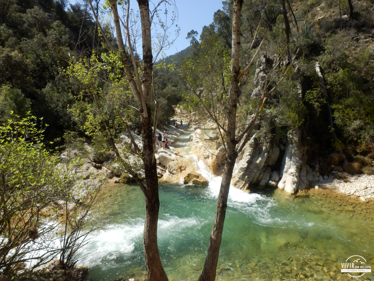 Arroyo de las Truchas Rio Borosa en Cazorla