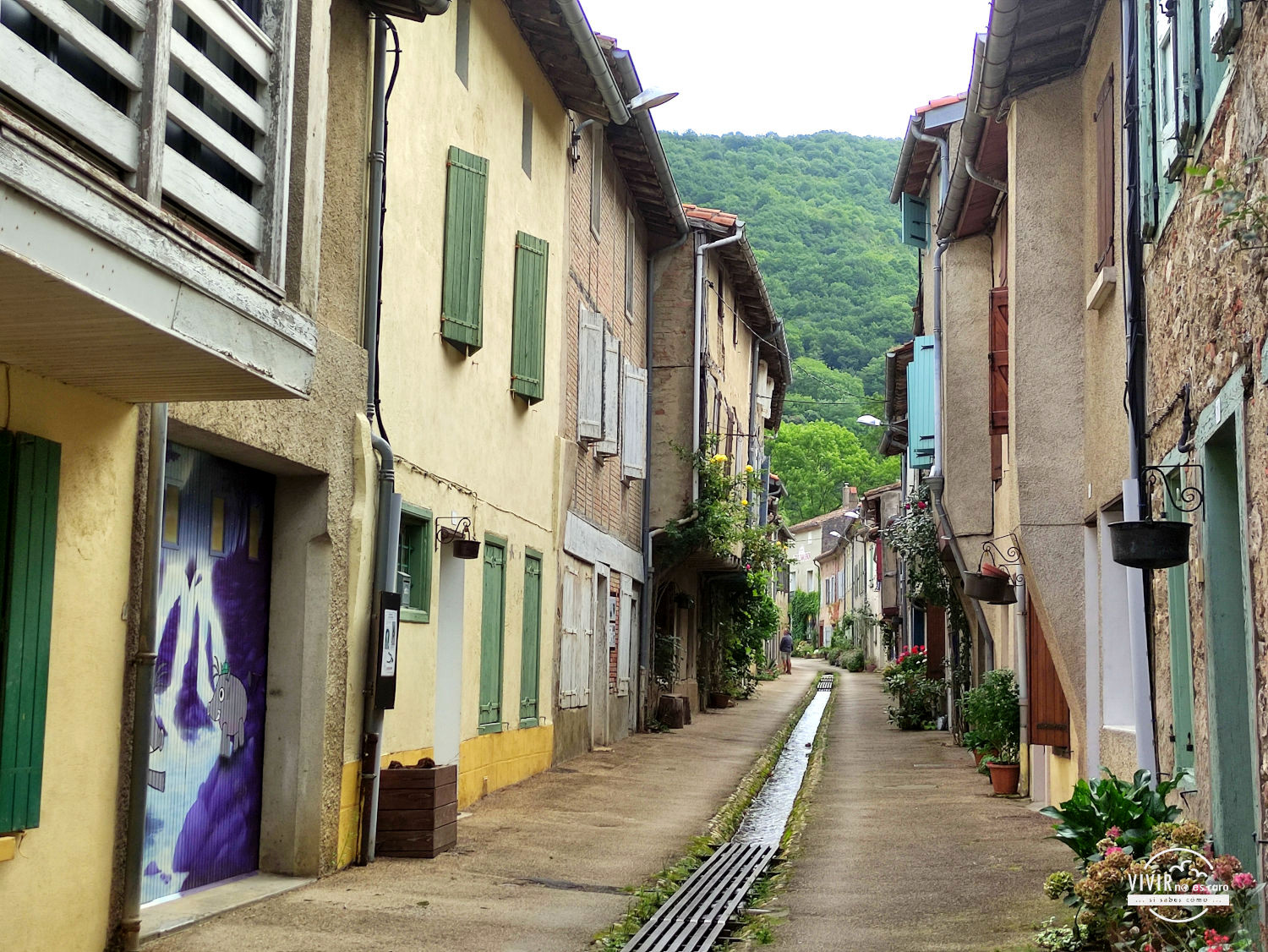 Calle con encanto en Durfort (Francia)