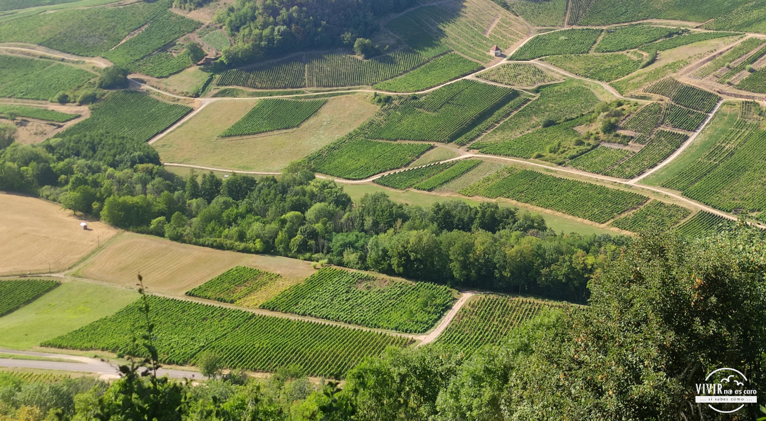 Vistas a los viñedos del Château-Chalon desde el mirador de Ménétru (Jura, Francia)