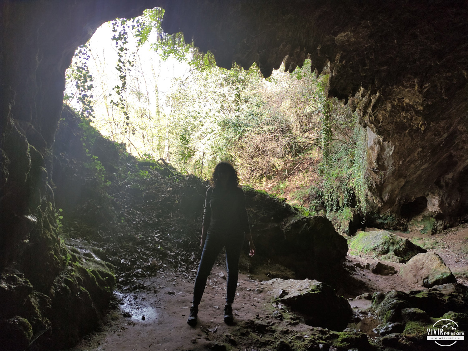 Cueva del Valle (Rasines, Cantabria)