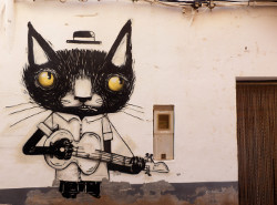 Graffiti gato con guitarra en Fanzara (Castellón)
