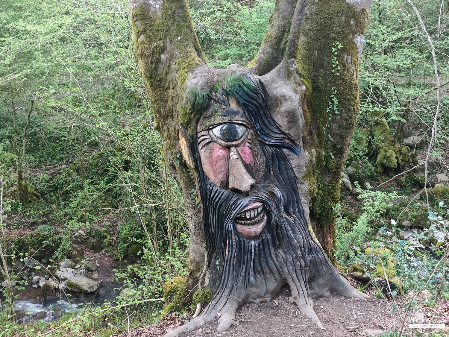 Ojancano en el Bosque Mitológico de Monte Tejas (Cantabria)