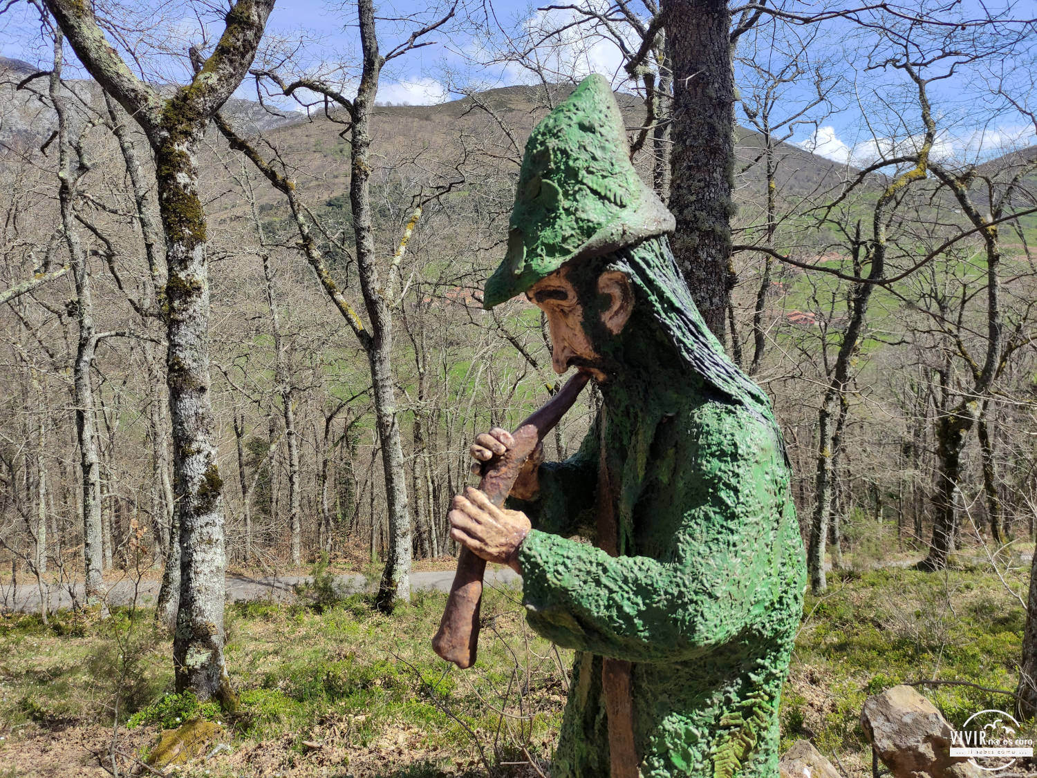 Musgoso en la Senda Mitológica del Monte Hozarco (Cantabria)