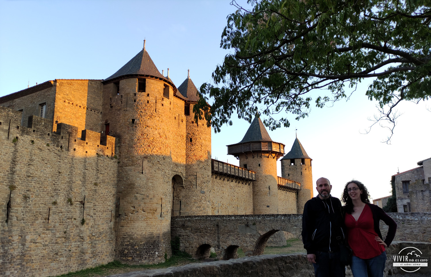 Castillo Condal de Carcassonne desde la Cité