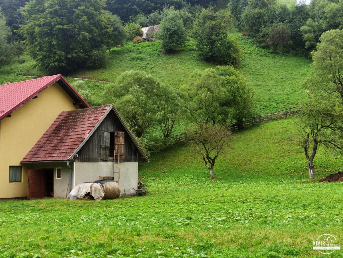 Casa tradicional en Bran (Transilvania, Rumanía)