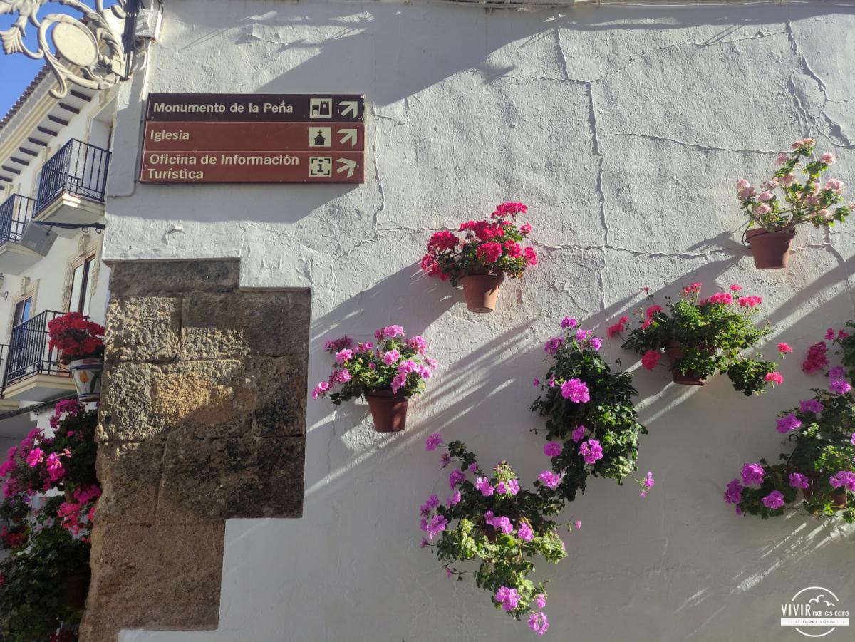 Fachada con flores en Castril (Granada)