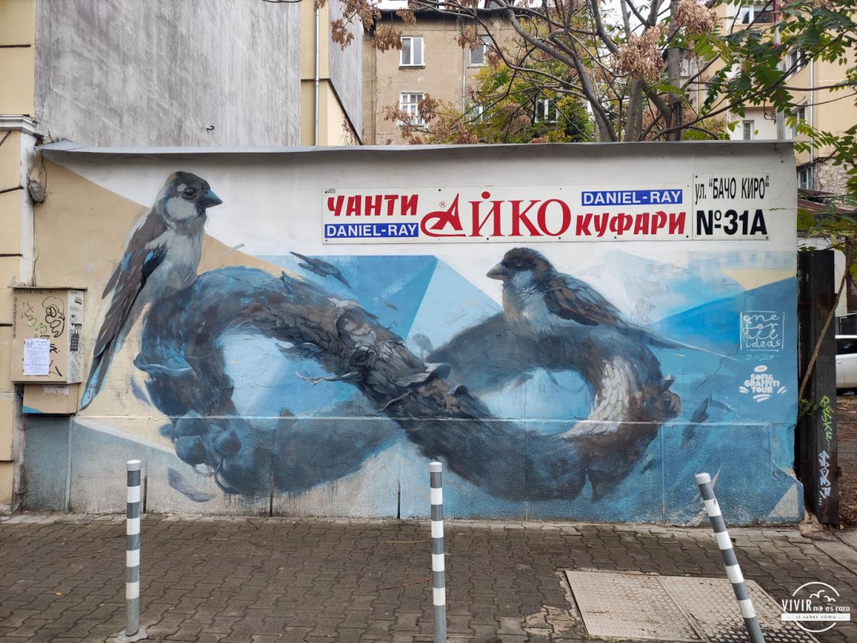 Street art Mural graffiti Pájaros con infinito (Sofía, Bulgaria)