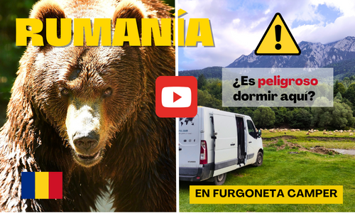 Banner osos Rumanía móvil