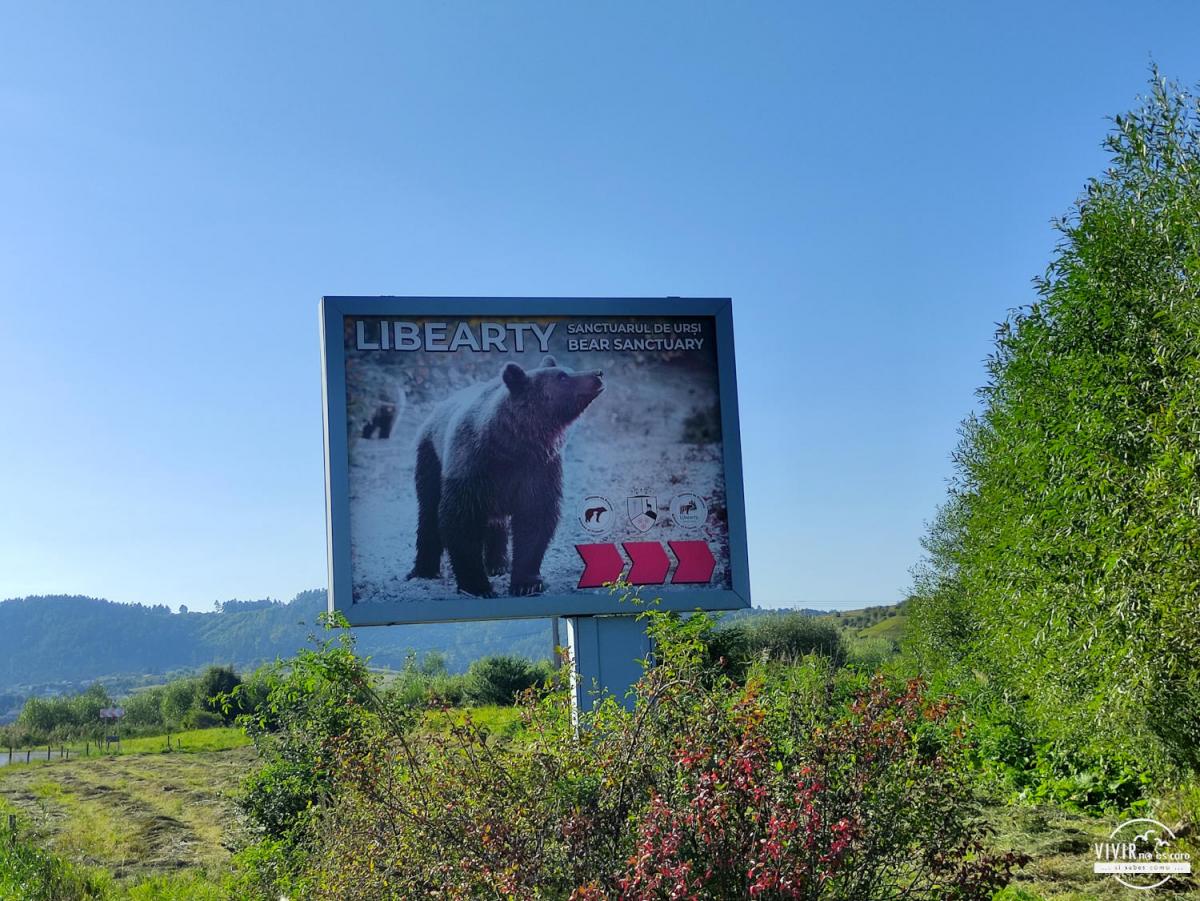 Santuario de osos de Zarnesti (Transilvania, Rumanía)