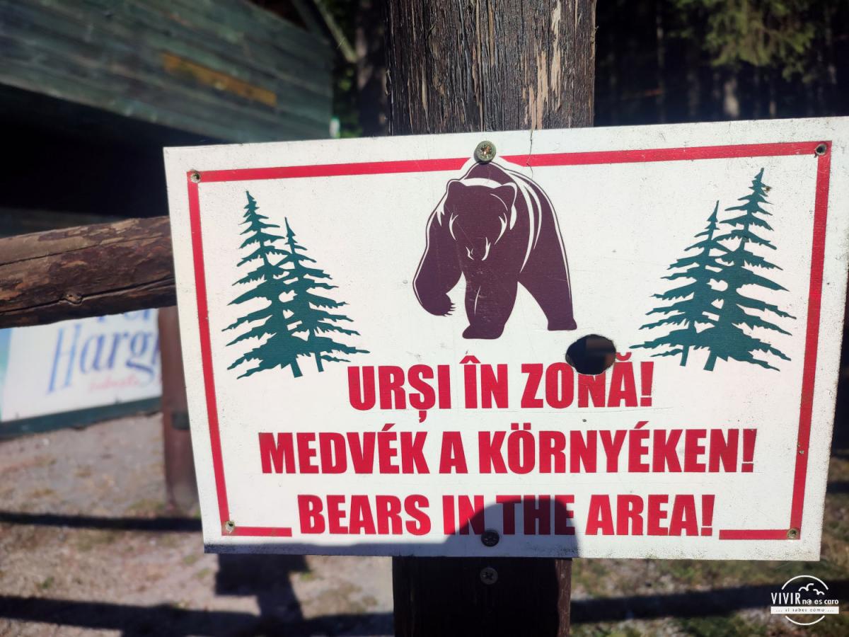 Cartel Ursi in zona - Bears in Area (Sfanta Ana, Rumanía)