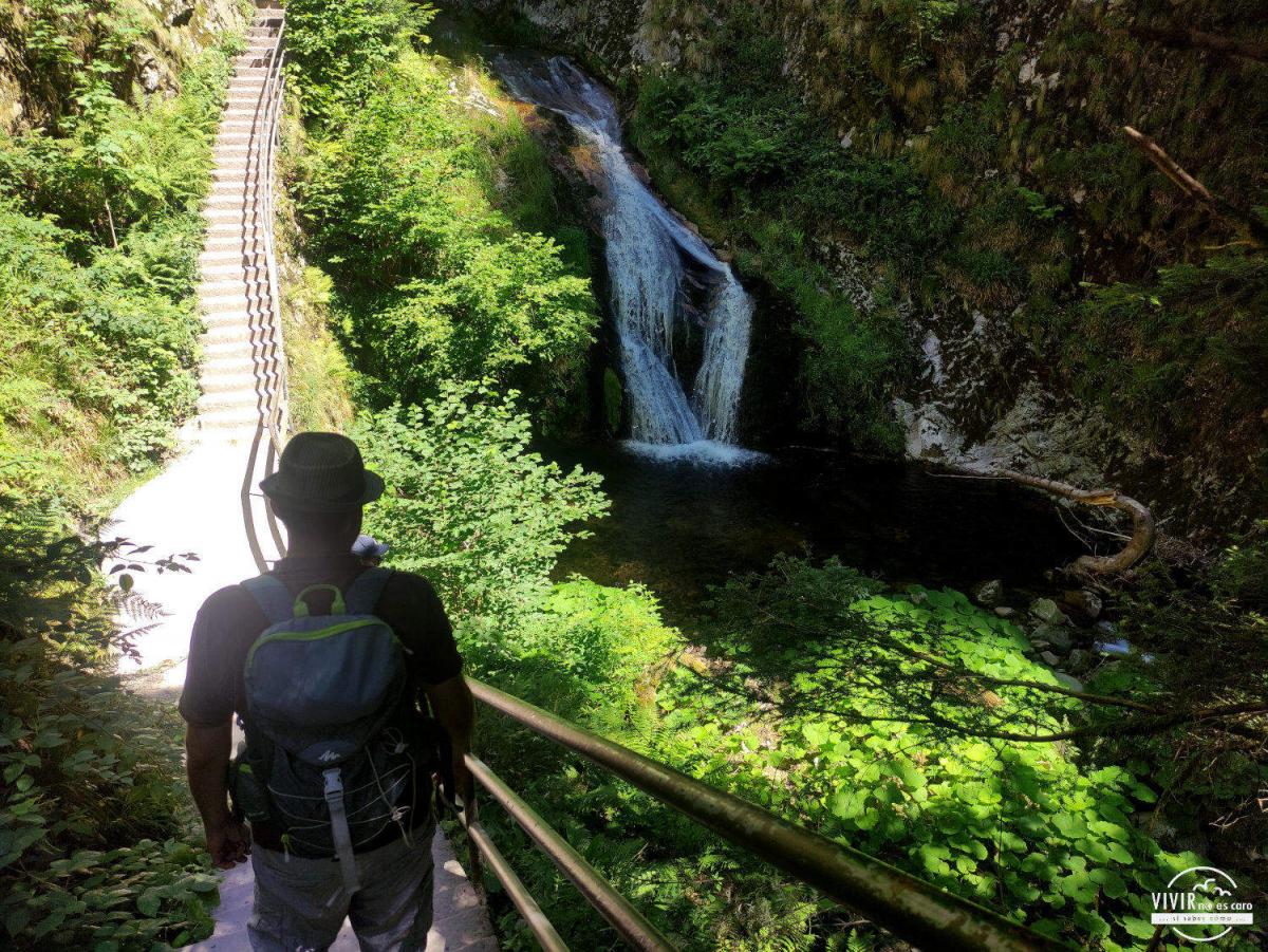 Parque Nacional Selva Negra Alemania Escaleras Allerheiligen wasserfalle cascada de todos los santos