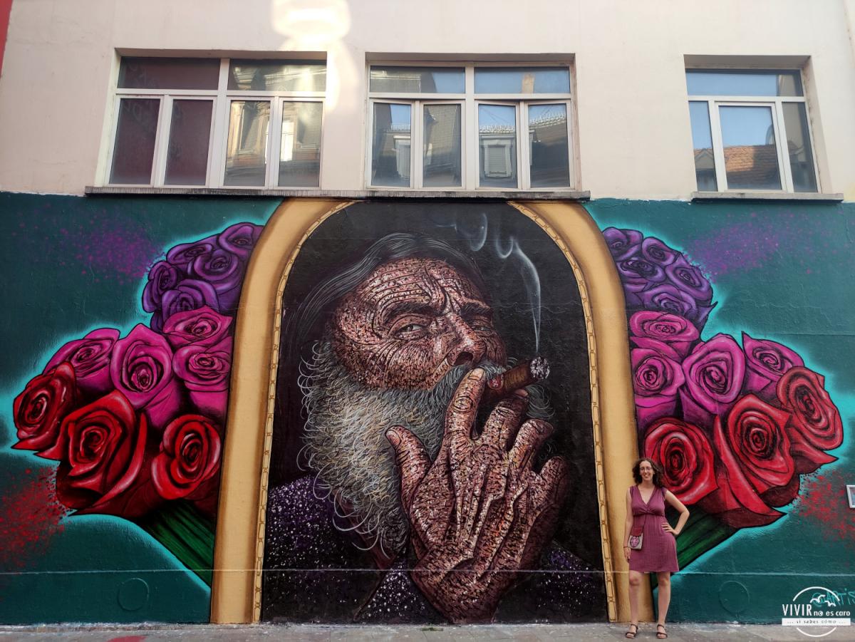 Mural Arte callejero en Mulhouse (Alsacia, Francia)