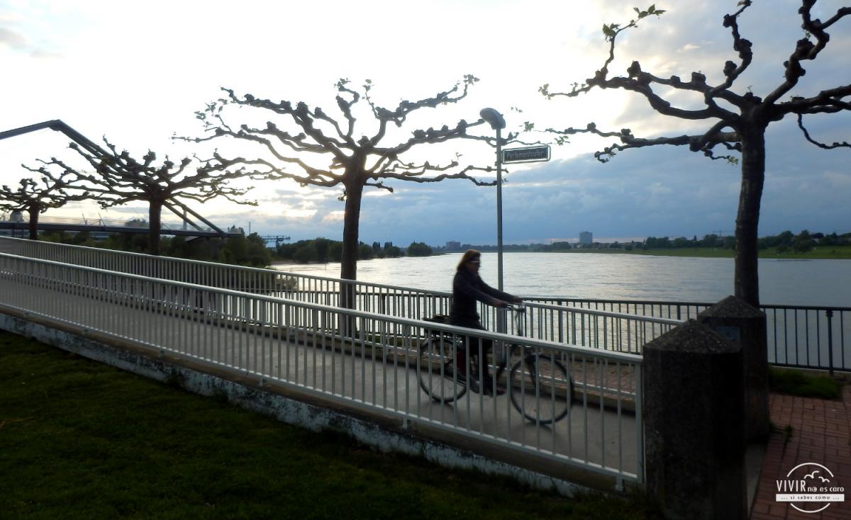 Paseo en bicicleta por Düsseldorf a orillas del Rin