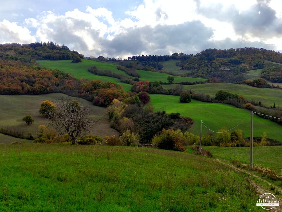 Radicondoli y sus colinas (La Toscana, Italia)