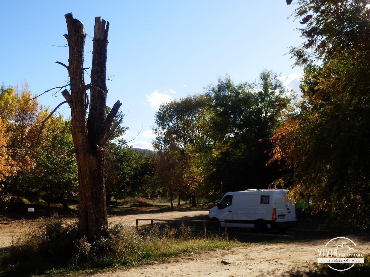Zona de acampada libre en Cabañeros - Las Becerras