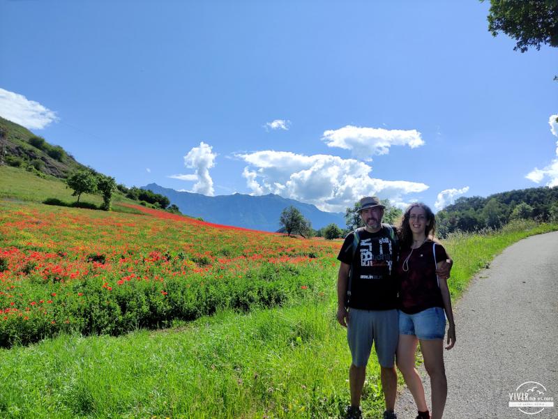 Amapolas en La Bréole (comuna del Lago de Serre-Ponçon, Francia)