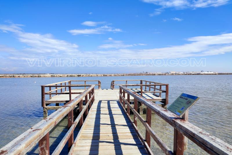Baños de lodo en San Pedro del Pinatar (Murcia)