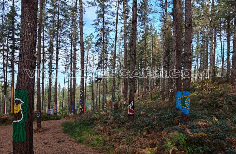 Bosque de Oma: pez