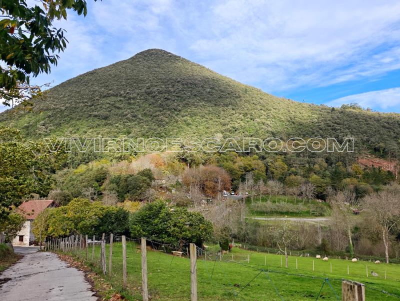 Parking Bosque de Oma