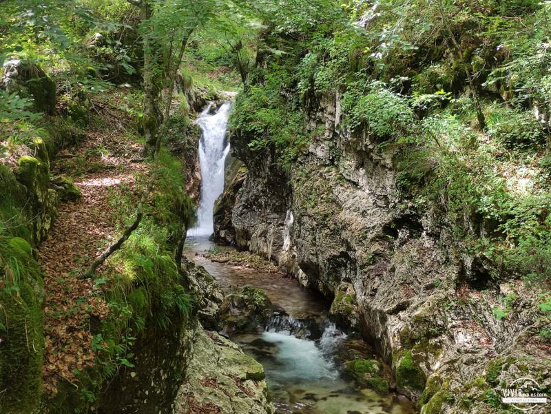 Cascada Torrente del Arzino (Friuli-Venecia Julia, Italia)