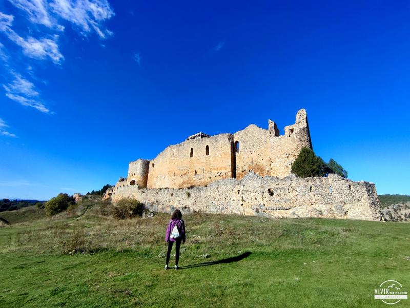Castillo de Ucero: PN Cañón del Río Lobos (Soria)