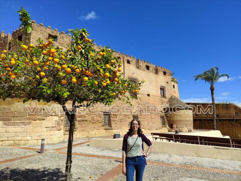 Castillo de Cuevas de Almanzora