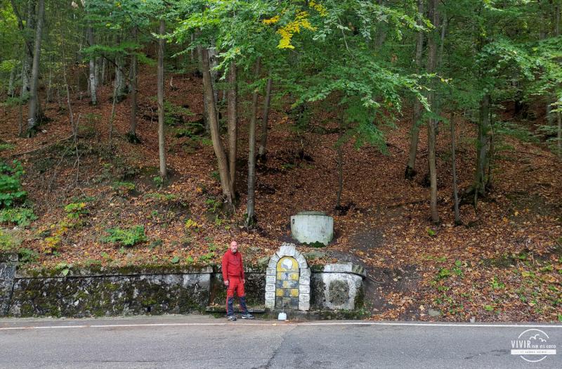 Fuente de agua potable en bosque de los Cárpatos (Rumanía)