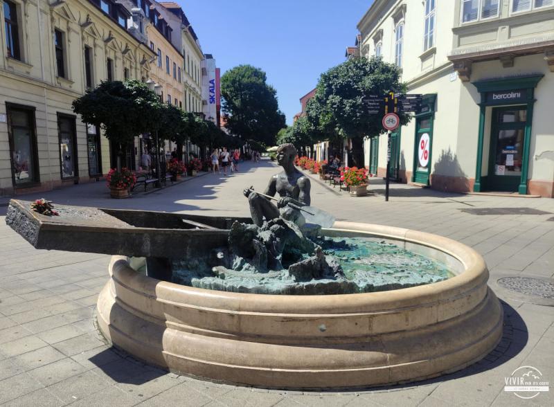 Hombre en una barca en Gyor (Hungría)