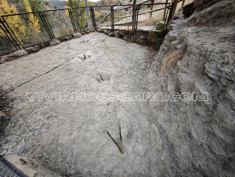 Huellas de dinosaurios en Enciso (La Rioja)