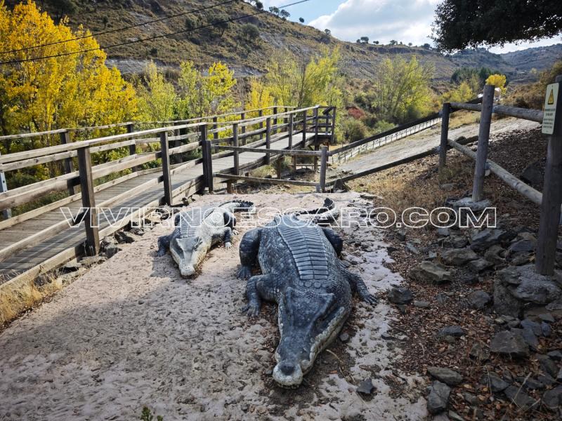 Huellas de cocodrilos en el Yacimiento Virgen del Campo