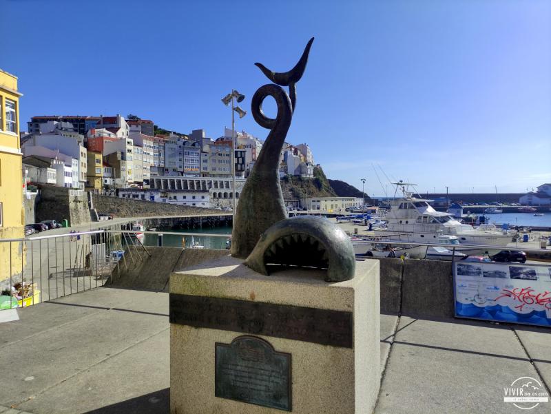 Malpica y las ballenas (Galicia)