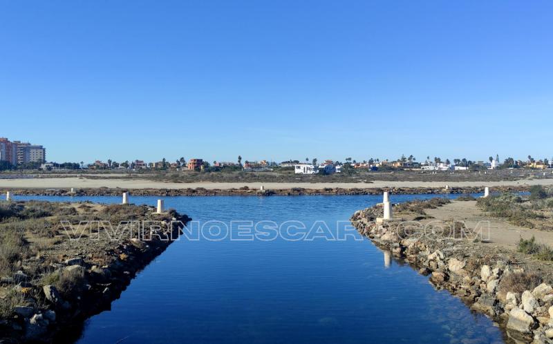 La Manga del Mar Menor - Veneziola