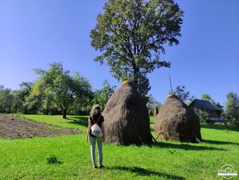 Montones de heno en Breb (Maramures, Rumanía)