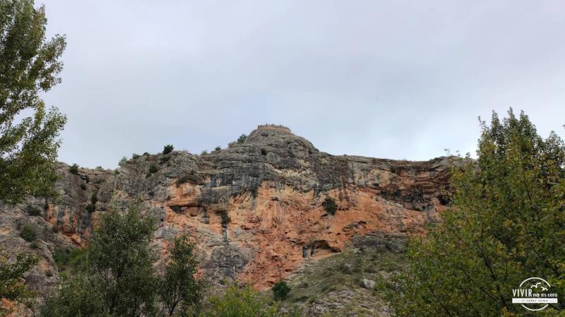 Mirador a los buitres de Pelegrina (Guadalajara)
