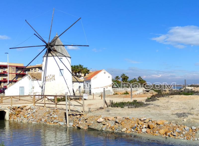 Molino en San Pedro del Pinatar