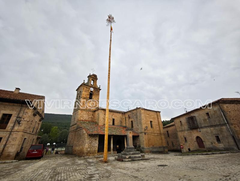 Molinos de Duero - Pingada del Pino