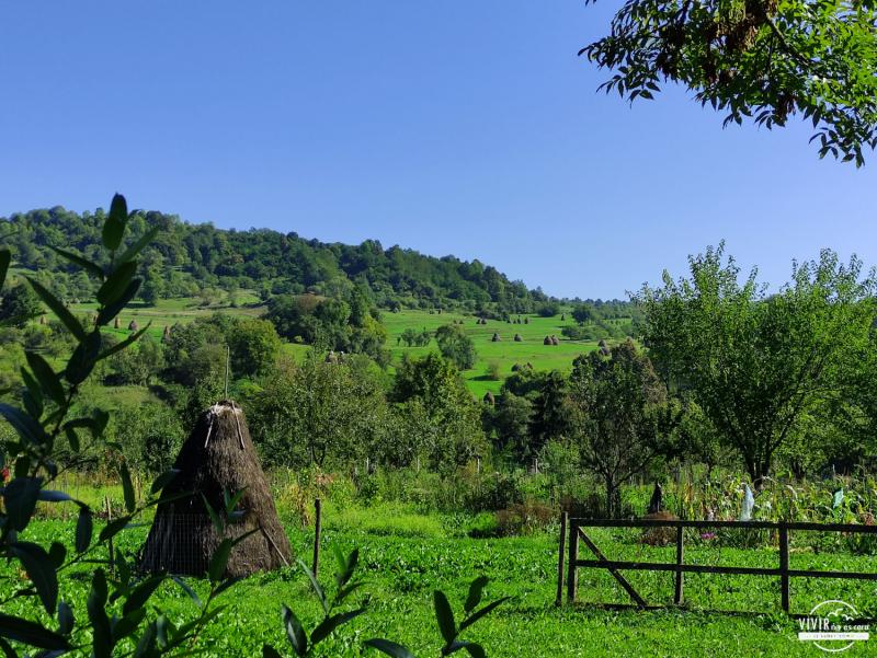 Paseo alrededor de Breb (Maramures, Rumanía)