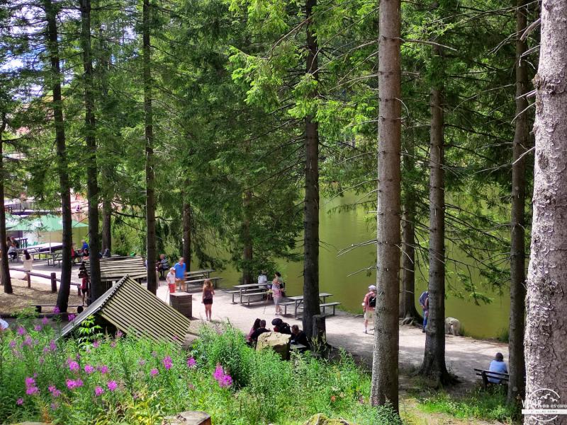 Merenderos Mummelsee (Selva Negra, Alemania)