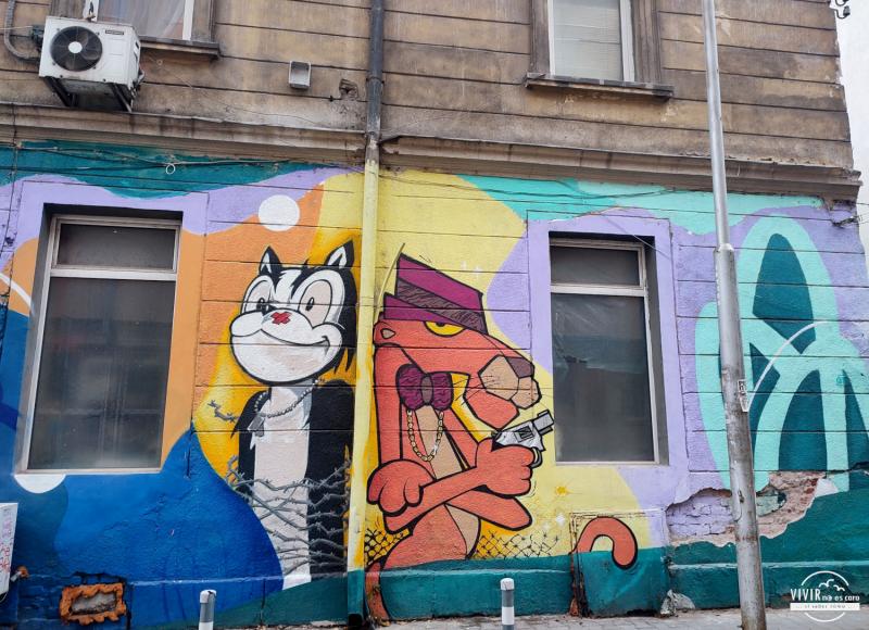 Street art Mural graffiti Pantera rosa (Sofía, Bulgaria)