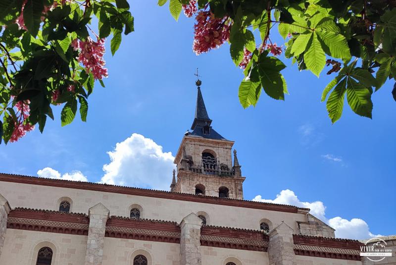 Nidos de Cigüeñas en Alcalá de Henares (Madrid)