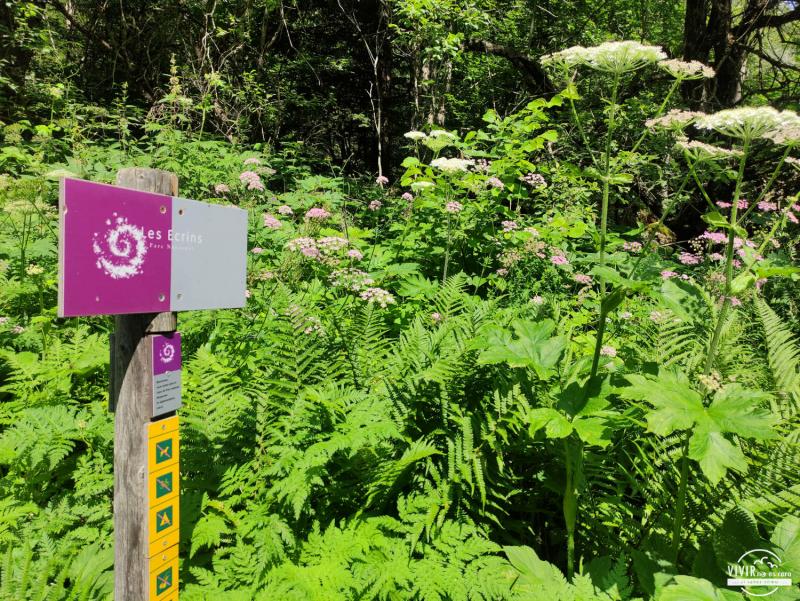 Normas y prohibiciones Parc National des Ecrins (Francia)