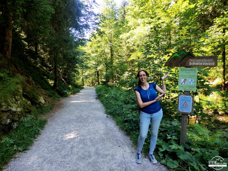 Cartel Parque Nacional de la Selva Negra (Alemania)