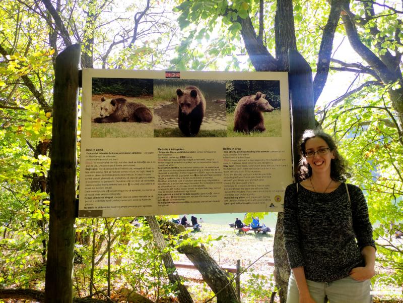 Normas osos Lago Sfanta Ana (Rumanía)