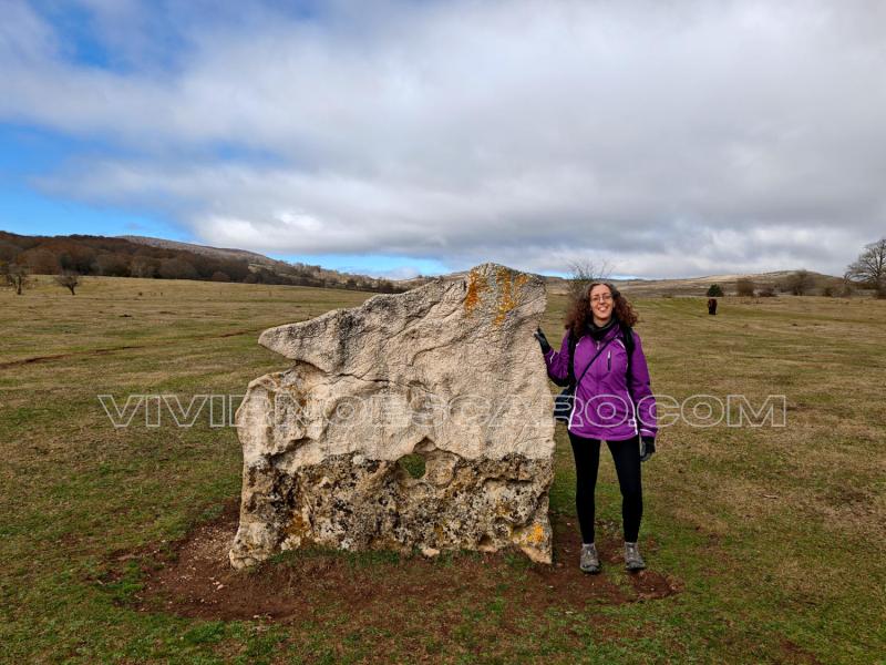 Menhir en el Parque megalítico Campas de Legaire