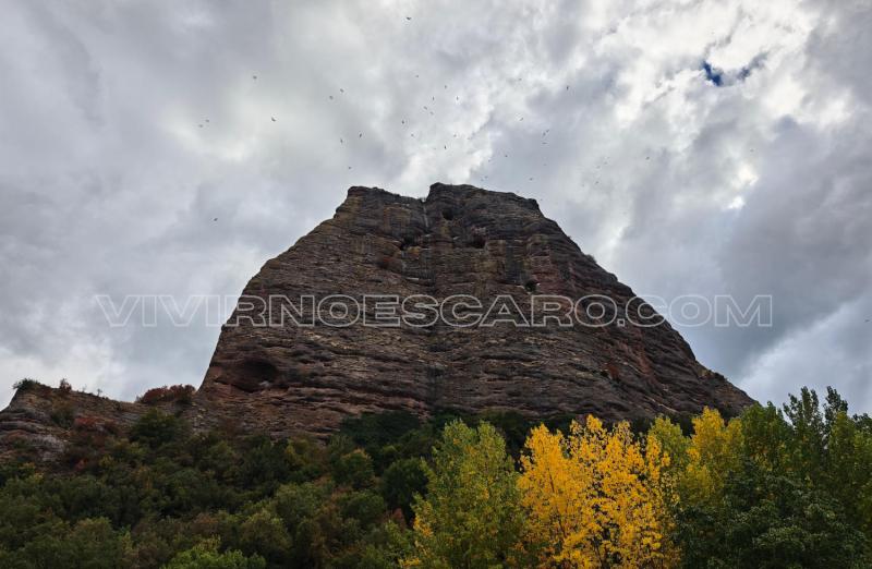 Buitres en la Peña Tobía (La Rioja)