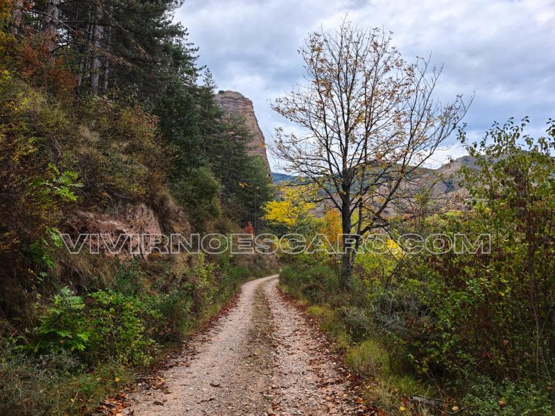 Sendero de bajada a Matute (La Rioja)