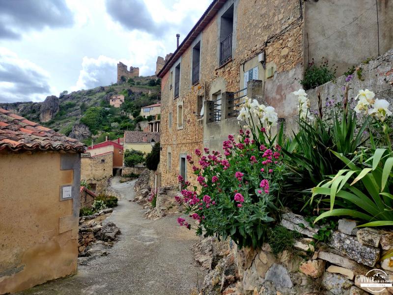 Flores en Pelegrina: pueblo del Barranco del Dulce